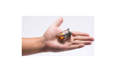 Газовая горелка из титана Fire-Maple HORNET FMS-300T