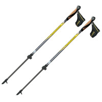 Палки Masters Training Speed для скандинавской ходьбы