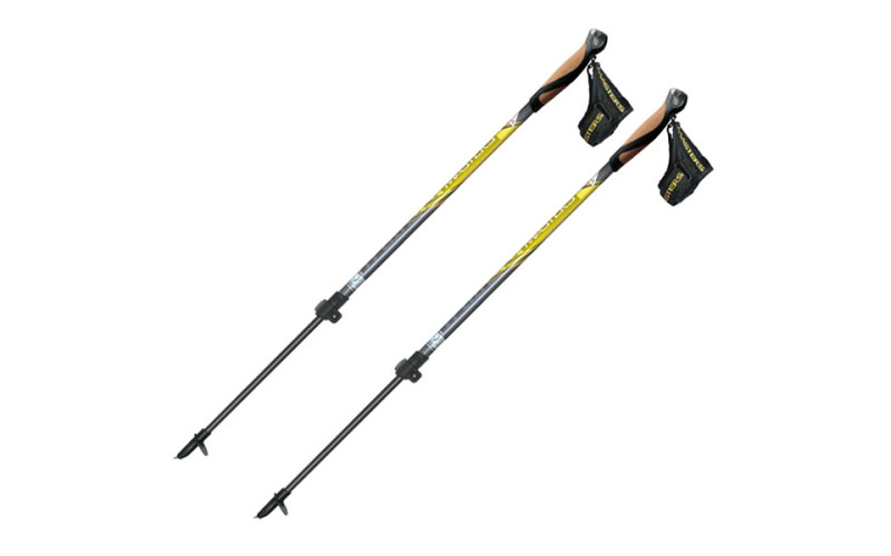 Палки Masters Training Speed для скандинавской ходьбы