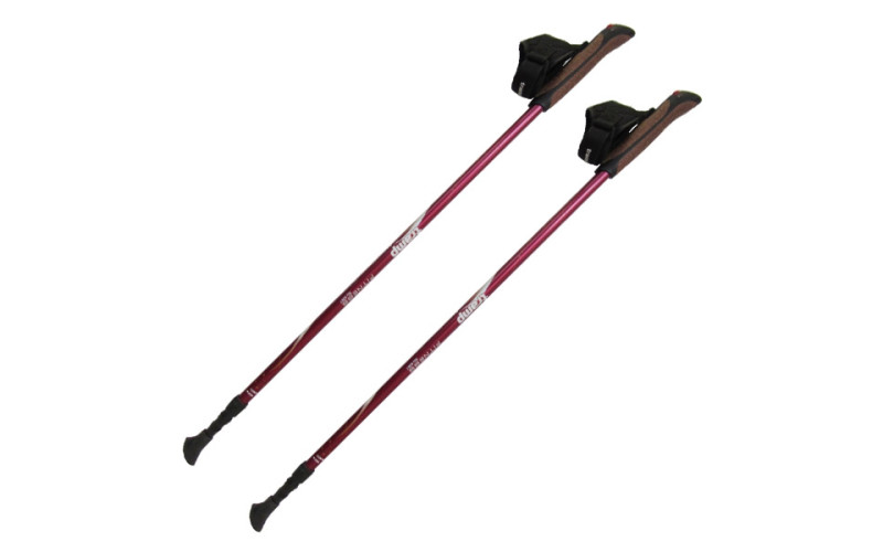 Палки для скандинавской ходьбы Tramp Fitness