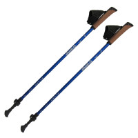 Палки для скандинавской ходьбы Tramp Flash