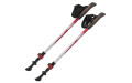 Палки для скандинавской ходьбы Tramp Compact